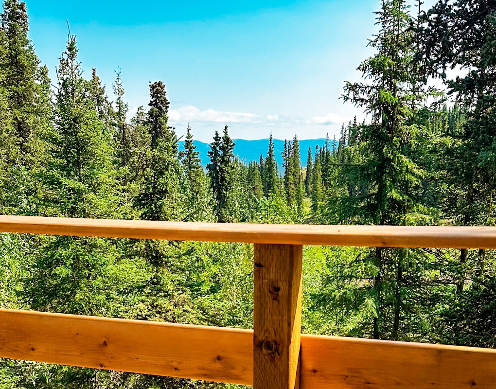 a wooden railing overlooking a forest