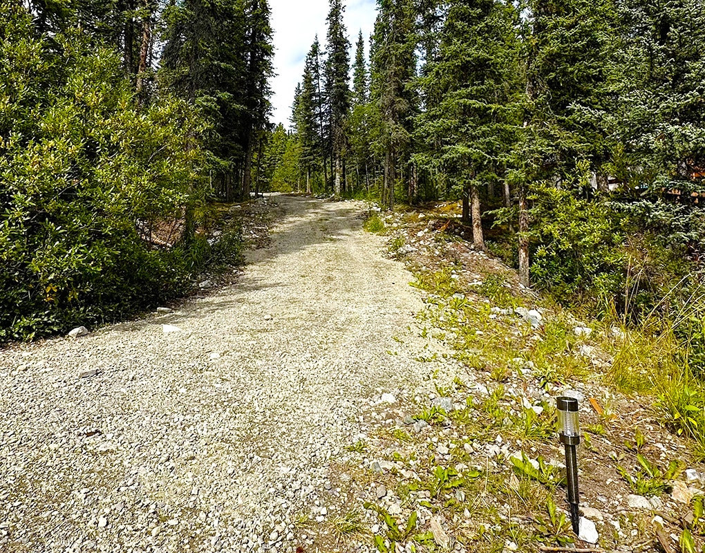 a gravel road with trees in the background