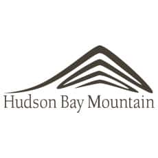 a logo of a mountain