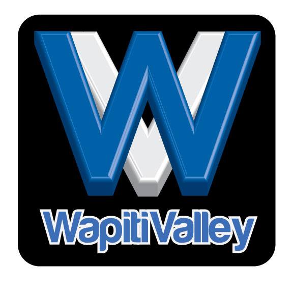 a blue and white logo