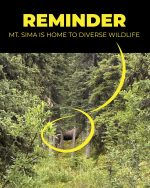 Reminder: We Share Our Trails With Wildlife! 🐾
Next time you're enjoying the beautiful trails at Mt. Sima, remember that you're in their home! We're incredibly lucky to share this space with a diverse array of wildlife, including moose, bears, lynx, foxes, and many more incredible creatures.

Let's all do our part to keep both ourselves and our wild neighbours safe:
🔔 Make noise on the trails to avoid surprising animals.
🐕 Keep pets on a leash and under control.
🗑️ Pack out everything you pack in – leave no trace!
🥓 Never feed wildlife, even if they seem friendly.

Respecting their space ensures everyone can continue to enjoy the natural beauty of Mt. Sima. Thanks for being mindful out there!

#MtSima #WildlifeSafety #Yukon #ExploreYukon #RespectWildlife #NatureLover