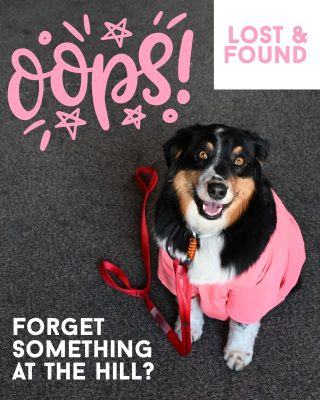 🎿 Lost & Found – Did You Forget Something at the Hill? 🧤

We’ve collected a mountain of lost and found items — and one of them might be yours! Come by this Saturday, May 3, between 11 AM and 4 PM to take a look and see if your missing gear made its way home.

Don’t let Florence walk away with it! 😄
*not actually wearing a lost item*

📅 Saturday, May 3
🕚 11 AM – 4 PM

Spread the word!
